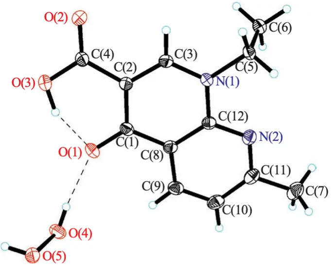 Asymmetric unit in the structure 1. Displacement ellipsoids are shown at 50% probability level. Hydrogen bonds are drawn by dashed lines. 
