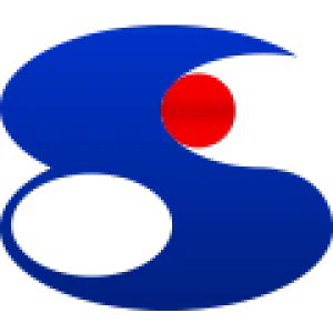 Recent Progress and Future Perspectives of Light Emitting Polymers for Full-color Display