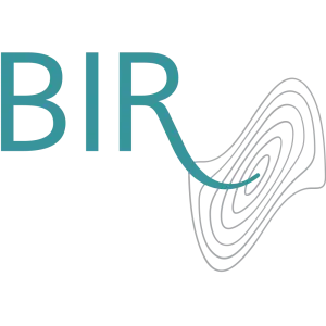 Synergism between ultrasound and X rays in tumour therapy