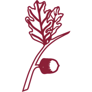 Three-dimensional scaffolds for tissue engineering applications: role of porosity and pore size.