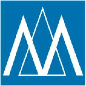 Patent Citations and Patent Value: Through the Lens of a Social Network Approach