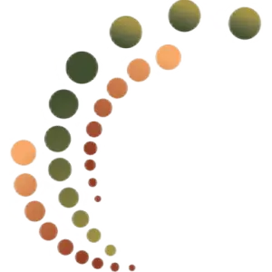 Structure, Function, and Pharmacology of Glutamate Receptor Ion Channels