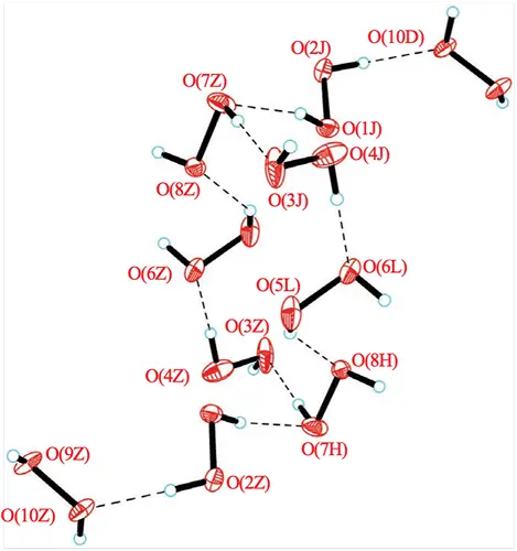 Centrosymmetric decameric H-bonded peroxide clusters in the structure 2. Minor components of disorder are not shown.